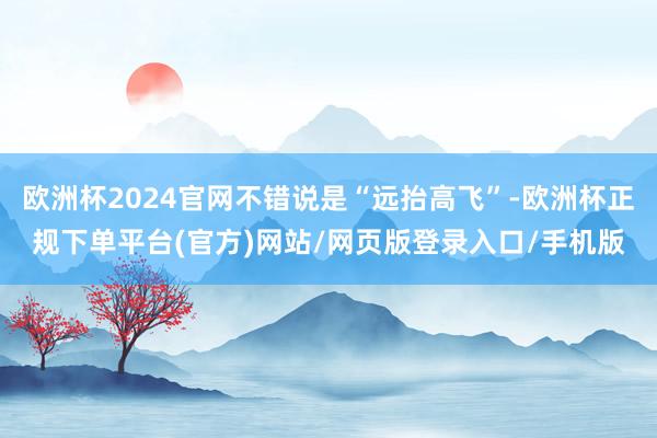 欧洲杯2024官网不错说是“远抬高飞”-欧洲杯正规下单平台(官方)网站/网页版登录入口/手机版