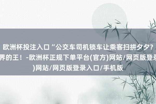 欧洲杯投注入口“公交车司机锁车让乘客扫拼夕夕?”哈哈哈概述界的王！-欧洲杯正规下单平台(官方)网站/网页版登录入口/手机版