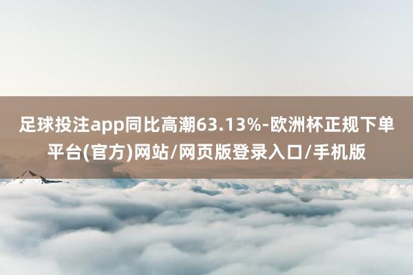 足球投注app同比高潮63.13%-欧洲杯正规下单平台(官方)网站/网页版登录入口/手机版