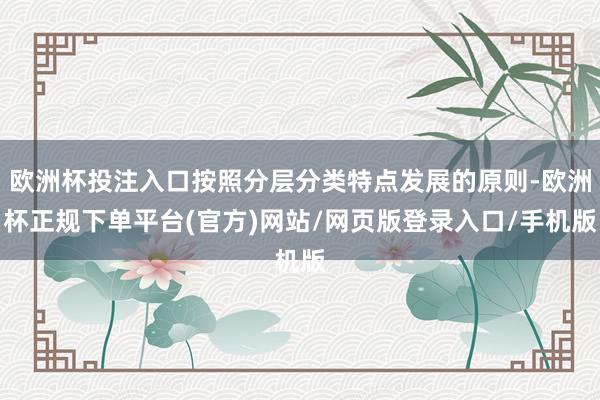 欧洲杯投注入口按照分层分类特点发展的原则-欧洲杯正规下单平台(官方)网站/网页版登录入口/手机版