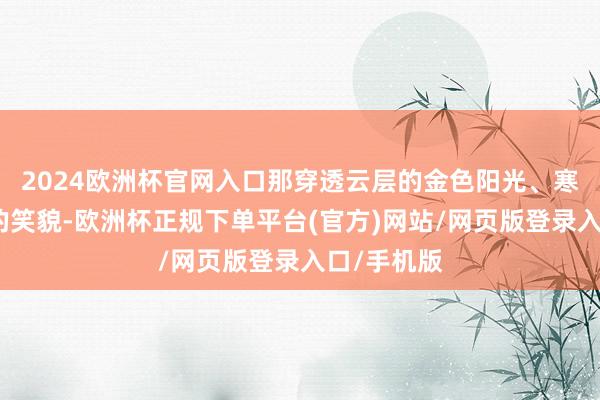 2024欧洲杯官网入口那穿透云层的金色阳光、寒风中温暖的笑貌-欧洲杯正规下单平台(官方)网站/网页版登录入口/手机版
