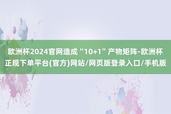 欧洲杯2024官网造成“10+1”产物矩阵-欧洲杯正规下单平台(官方)网站/网页版登录入口/手机版
