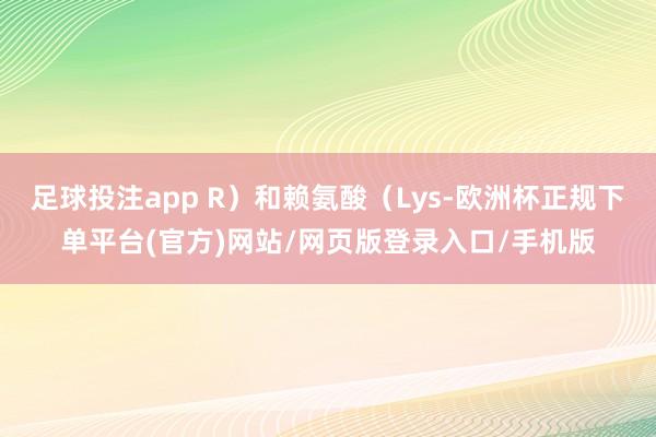 足球投注app R）和赖氨酸（Lys-欧洲杯正规下单平台(官方)网站/网页版登录入口/手机版