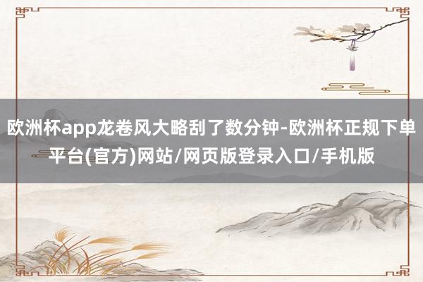 欧洲杯app龙卷风大略刮了数分钟-欧洲杯正规下单平台(官方)网站/网页版登录入口/手机版