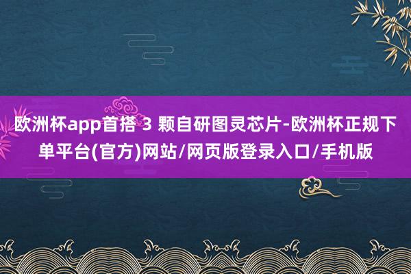 欧洲杯app首搭 3 颗自研图灵芯片-欧洲杯正规下单平台(官方)网站/网页版登录入口/手机版