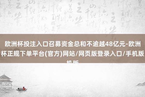 欧洲杯投注入口召募资金总和不逾越48亿元-欧洲杯正规下单平台(官方)网站/网页版登录入口/手机版