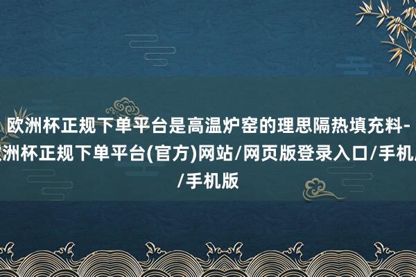 欧洲杯正规下单平台是高温炉窑的理思隔热填充料-欧洲杯正规下单平台(官方)网站/网页版登录入口/手机版