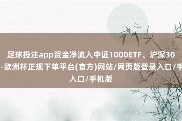 足球投注app资金净流入中证1000ETF、沪深300ETF-欧洲杯正规下单平台(官方)网站/网页版登录入口/手机版