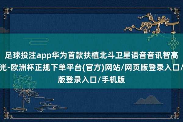 足球投注app华为首款扶植北斗卫星语音音讯智高腕表曝光-欧洲杯正规下单平台(官方)网站/网页版登录入口/手机版