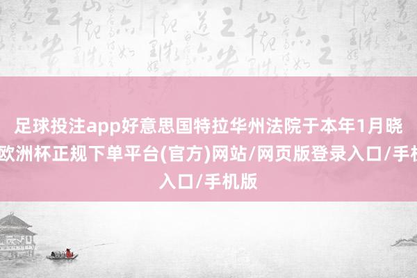 足球投注app好意思国特拉华州法院于本年1月晓谕-欧洲杯正规下单平台(官方)网站/网页版登录入口/手机版