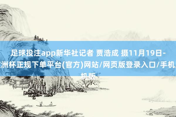 足球投注app新华社记者 贾浩成 摄11月19日-欧洲杯正规下单平台(官方)网站/网页版登录入口/手机版