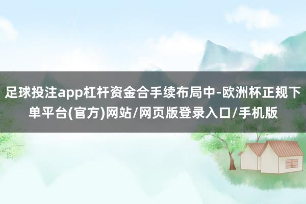 足球投注app杠杆资金合手续布局中-欧洲杯正规下单平台(官方)网站/网页版登录入口/手机版